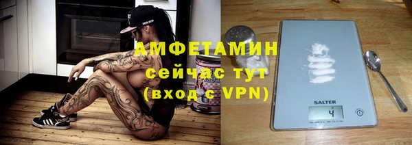 индика Магас