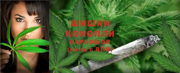 бутират Мегион