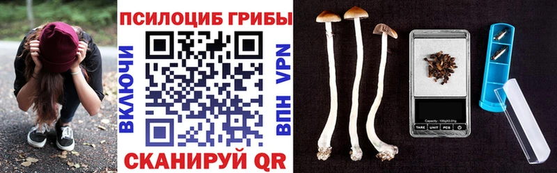 Галлюциногенные грибы Psilocybe  Морозовск 