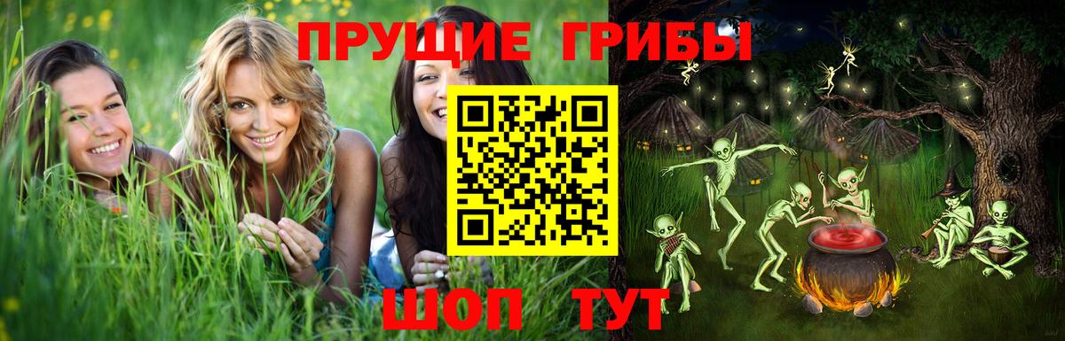 купить наркотик  Псилоцибиновые грибы Psilocybine cubensis  Вход с VPN  Морозовск 