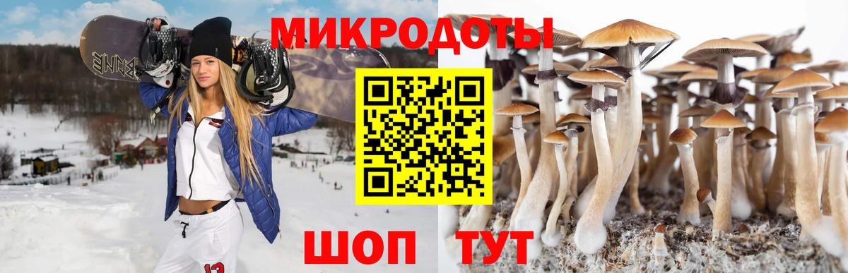 Галлюциногенные грибы GOLDEN TEACHER Морозовск